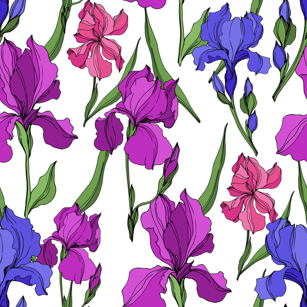 Vector Irises floral botanical flowers. Black and white engraved ink art. Seamless background pattern. - Vector, Imagen