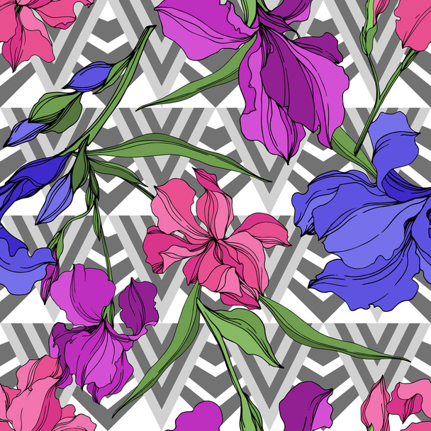 Vector Irises flores botánicas florales. Tinta grabada en blanco y negro. Patrón de fondo sin costuras
. - Vector, Imagen