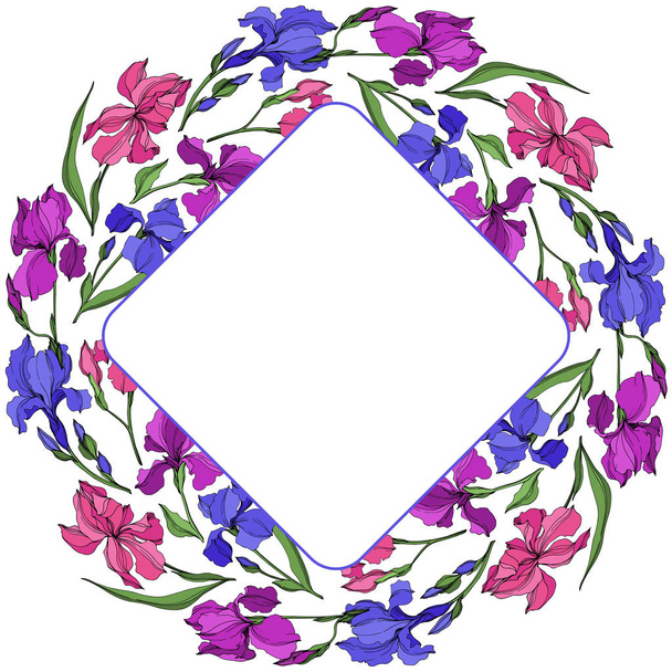 Vector irissen bloemen botanische bloemen. Zwart-wit gegraveerd Ink Art. Frame rand ornament vierkant. - Vector, afbeelding