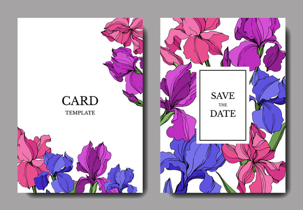 Vector Irises botanical flowers. Black and white engraved ink art. Wedding background card floral decorative border. - Vector, Image