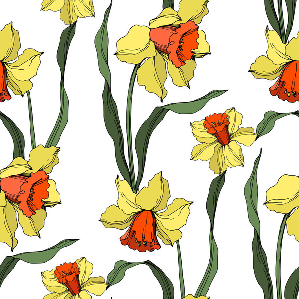 Vector Narcissus floral botanical flower. Yellow and green engraved ink art. Seamless background pattern. - Vector, afbeelding
