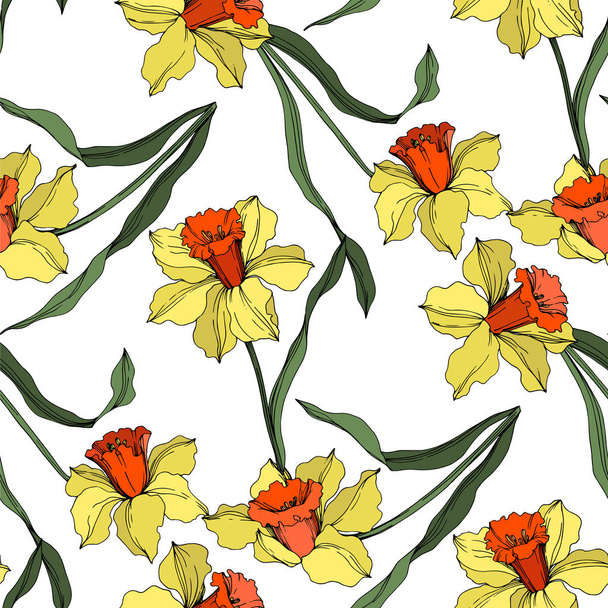 Vector Narcissus floral botanical flower. Yellow and green engraved ink art. Seamless background pattern. - Vetor, Imagem