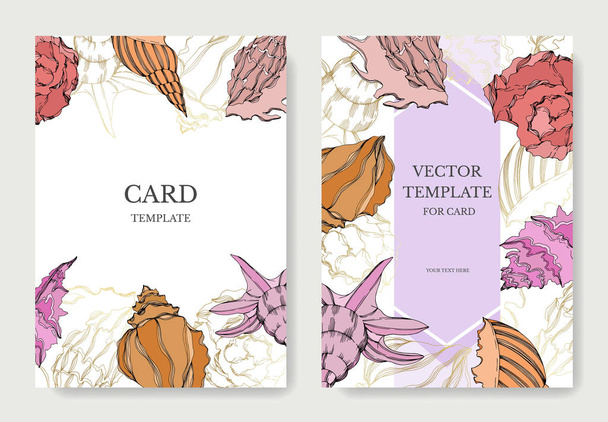 Vector Summer beach seashell tropical elements. Template cards. - Vector, Image