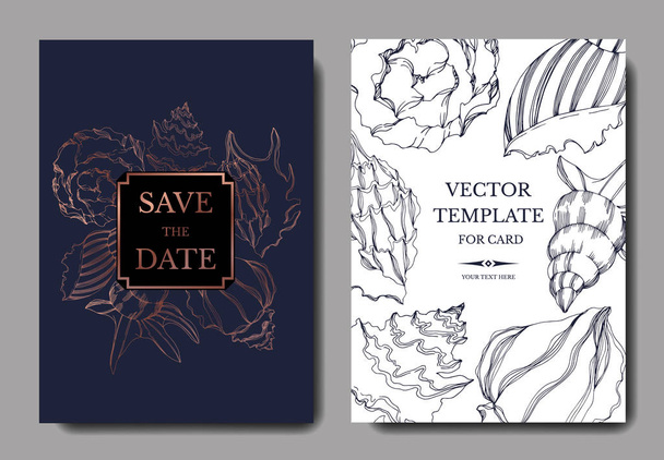 Vector Summer beach seashell tropical elements. Template cards. - Vector, Image