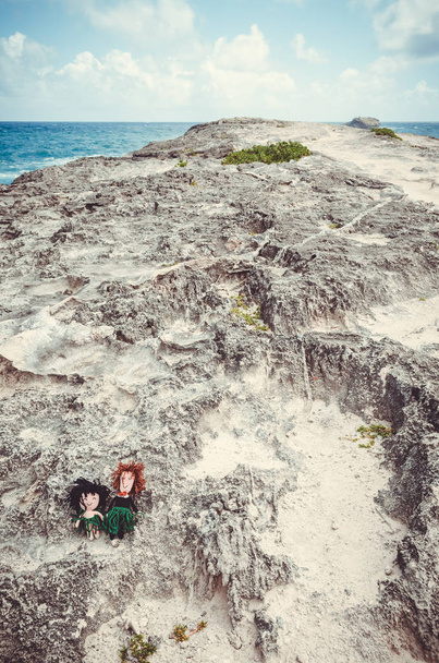 Due piccoli burattini di lana in piedi su un promontorio roccioso alle Hawaii, Stati Uniti
. - Foto, immagini