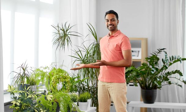 uomo indiano prendersi cura di piante d'appartamento a casa
 - Foto, immagini