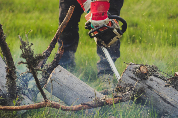 Der Kerl hackt den alten Baum in den Bergen mit der Kettensäge. ukr - Foto, Bild