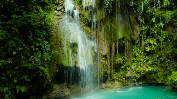 Piękny tropikalny wodospad Filipiny, Cebu - Materiał filmowy, wideo