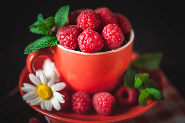 Raspberry in a red cup with chamomile and leaves on a dark background. Summer and healthy food concept. Selective focus. - 写真・画像