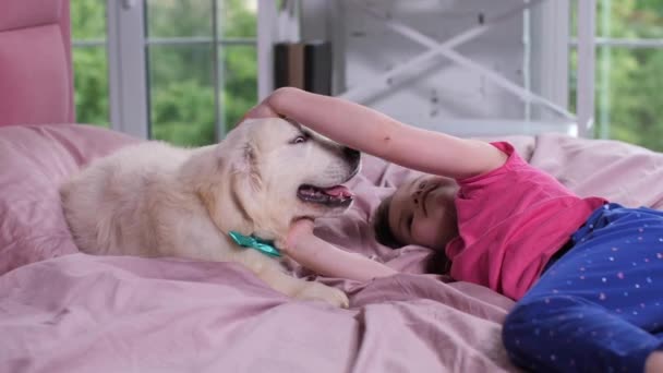 Holčička pohladila štěně ležet na posteli v dětském pokoji - Záběry, video