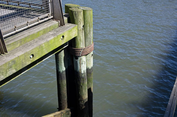 Several wooden posts and a wooden pier show the greening effects of algae growing along the waters edge in Gantry Plaza State Park in Long Island City, New York  - Photo, Image