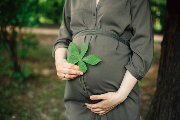 Primer plano del vientre de una mujer embarazada sosteniendo una hoja en un parque de verano
 - Foto, imagen