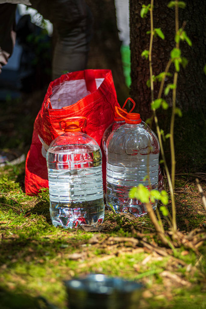 basurero ilegal en el bosque forestal en verano
 - Foto, Imagen