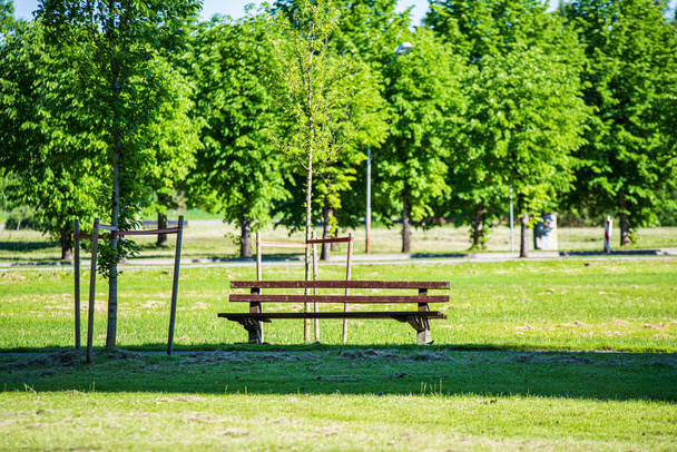 zomer zon verlicht Green Forest Park voor relaxsatie - Foto, afbeelding