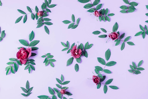 Summer minimal concept. Pattern made of red rose flowers and green little leaves on purple background. Many little leaves for decorating any post card or celebration card. Flat lay, top view - Fotó, kép