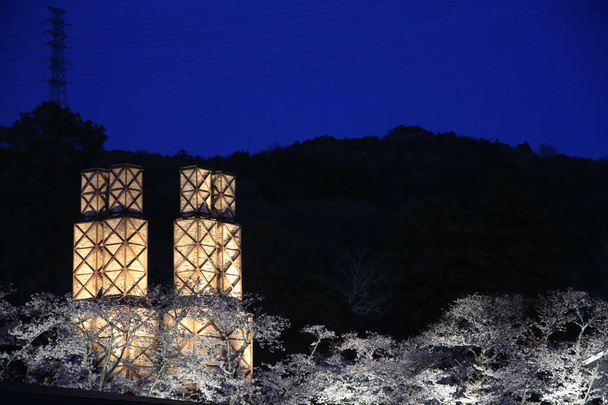 Fours à réverbération Nirayama et fleurs de cerisier à Izu, Shizuoka, Japon (scène nocturne
) - Photo, image