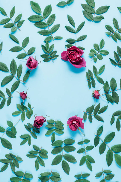 Flowers composition. Frame made of red rose flowers and green little leaves on blue background. Many little leaves for decorating any post card or celebration card. Flat lay, top view, copy space. - Fotó, kép