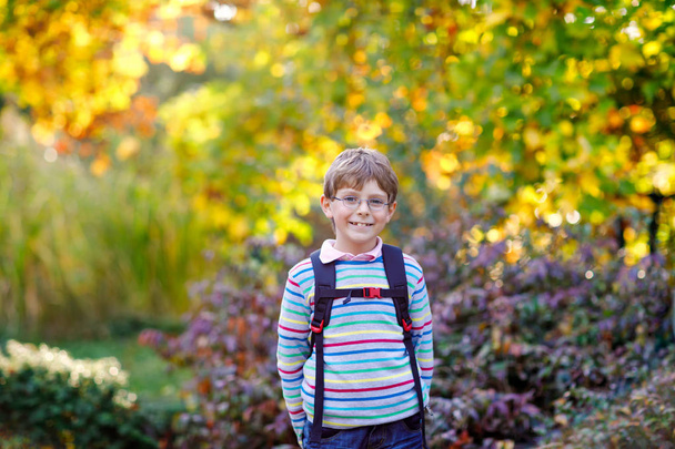 Joyeux petit garçon avec des lunettes et un sac à dos ou une sacoche lors de son premier jour à l'école le jour ensoleillé d'automne. Enfant en plein air avec des érables jaunes et lisez sur le fond, concept de retour à l'école
 - Photo, image