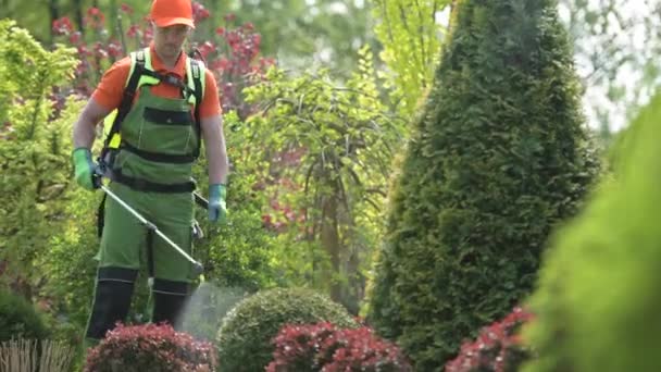 Kaukasische tuinman en tuinplanten insecticide werk. Lente landschap onderhoud. - Video