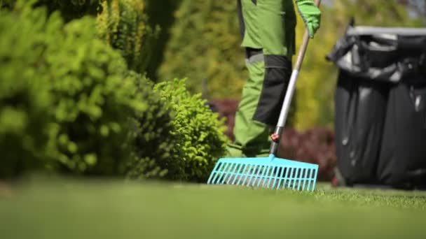 Professionele tuinman raking gras in een achtertuin tuin. Tuinonderhoud - Video