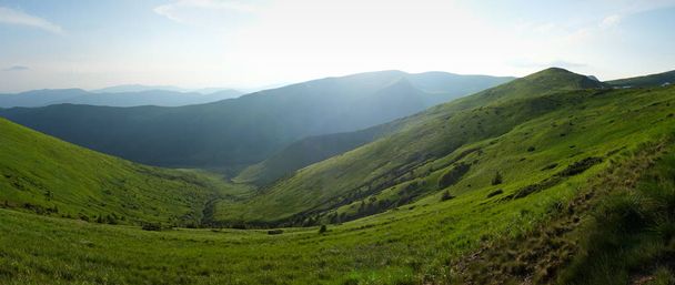 Wide angle view to the mountain range. Bright green meadows in Carpathian mountains. Panoramic mountain landscape with sunlight in springtime. Ukraine - Photo, Image