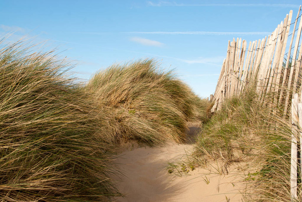nízký obraz měkkého bledého písku s dlouhou trávou a starým plotem na pláži Conwy Morfa Beach, Wales - Fotografie, Obrázek