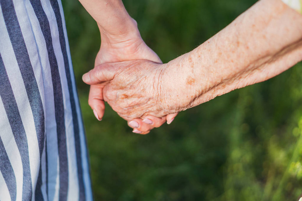 Grandmother and granddaughter hold hands and walk in the park - Photo, Image