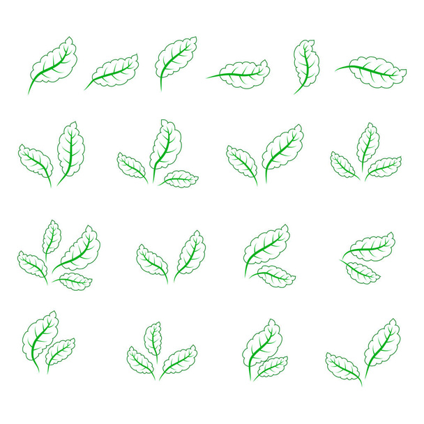 Set of green leaves design elements. Green sprout green leaves symbol icon set. - Вектор,изображение