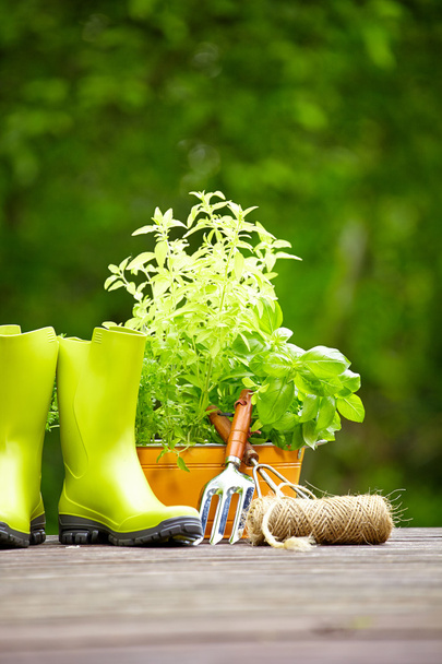 Fresh herbs in wooden box with garden tools on terrace - Photo, image