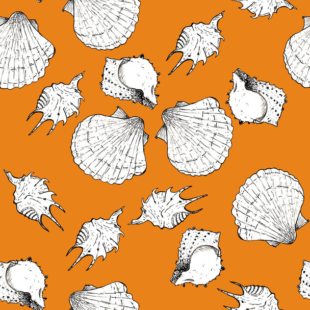 Dibujo blanco y negro ilustración de conchas marinas en Dark de moda
  - Foto, imagen