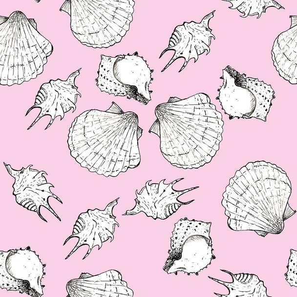 White and black sketch illustration of seashells on trendy Littl - Фото, зображення