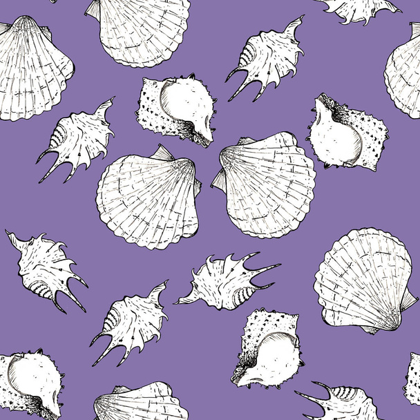 weiße und schwarze Skizze Illustration von Muscheln auf violette Farbe - Foto, Bild