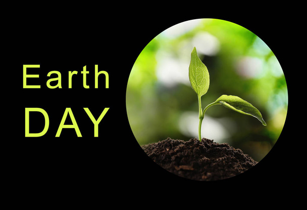 Text EARTH DAY and young seedling in soil on black background - Fotó, kép