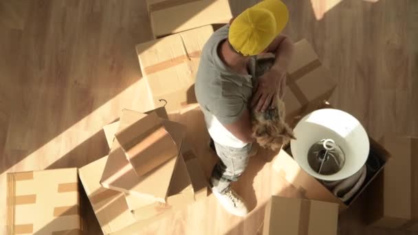 Les hommes avec chien viennent d'emménager dans une nouvelle maison en faisant une courte pause tout en déplaçant des boîtes. Australien Silki Terrier Pet
. - Séquence, vidéo