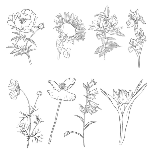 vector drawing flowers - Vektör, Görsel