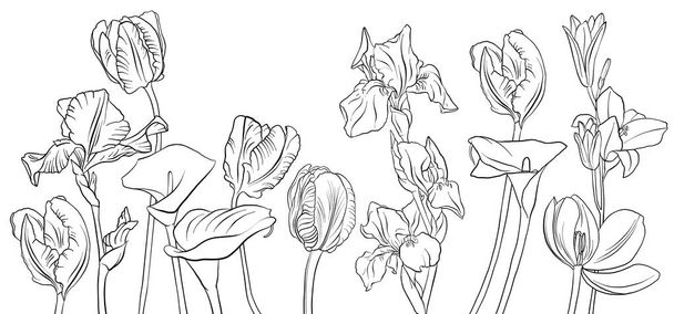 vector drawing flowers - Vecteur, image