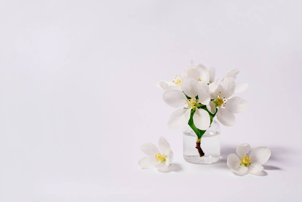 Spa natural cosmetic concept. White background - Foto, afbeelding