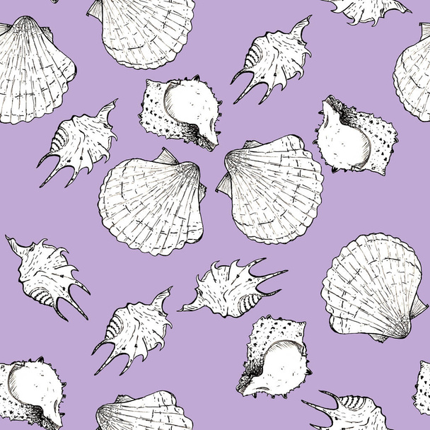 Dibujo blanco y negro ilustración de conchas marinas en Mysti de moda
 - Foto, imagen
