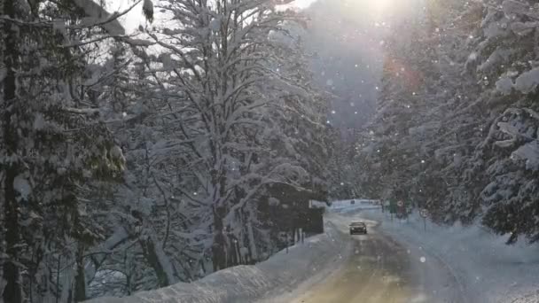 Schilderachtige vallende sneeuw winter tijd landschap in slow motion. - Video