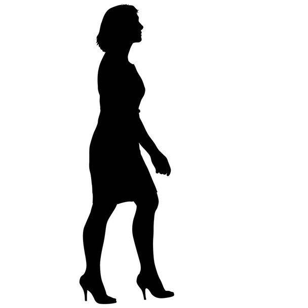 Silhouette of People walking on White Background - Vector, Image