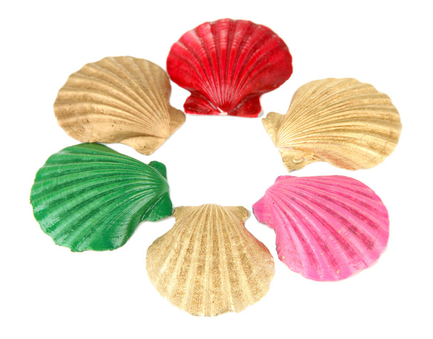Colorful seashells, isolated on white - Фото, изображение