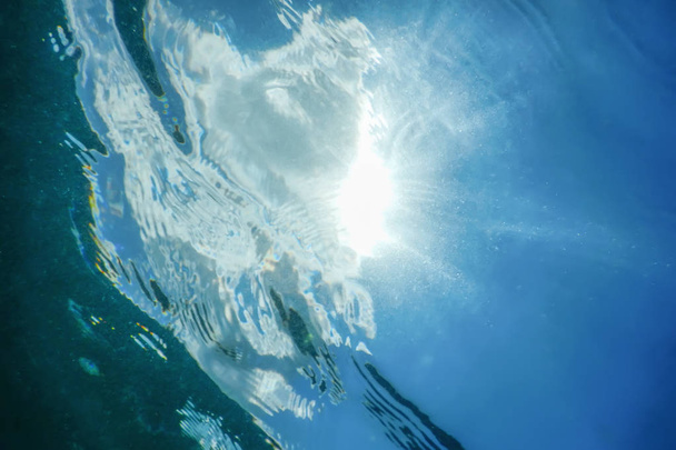 Scène sous-marine Lumière du soleil, poissons Vie sous-marine. - Photo, image