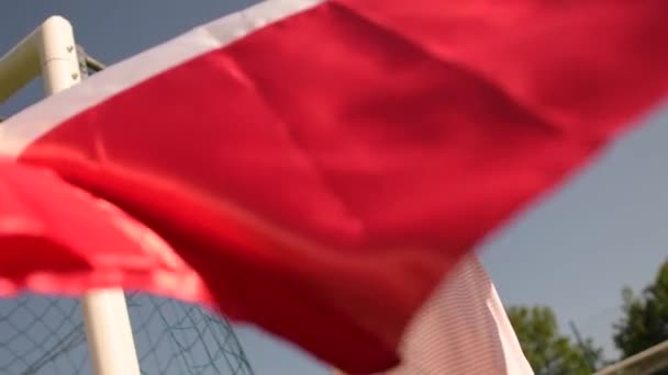 Narodowa flaga Polski w rękach polskiego fana sportu w zwolnionym tempie - Materiał filmowy, wideo