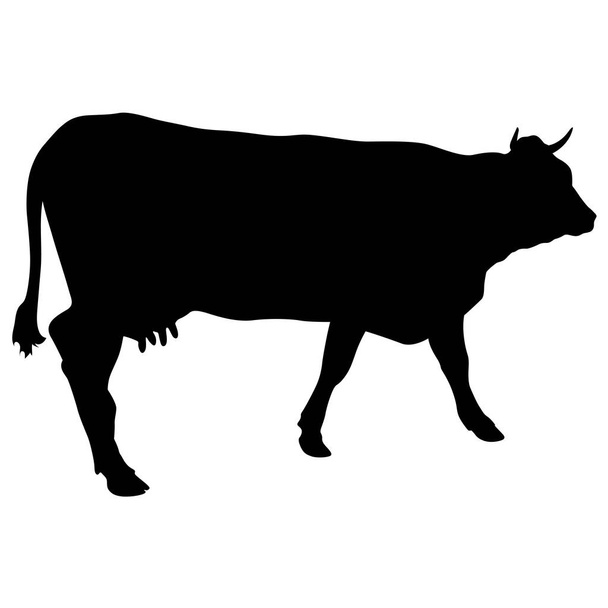 Silueta negra de vaca de efectivo sobre fondo blanco
 - Vector, Imagen