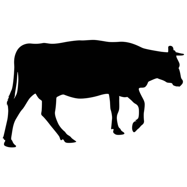 schwarze Silhouette von Cash Cow auf weißem Hintergrund - Vektor, Bild