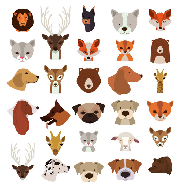 Animales Set en estilo plano, ilustración vectorial
 - Vector, Imagen