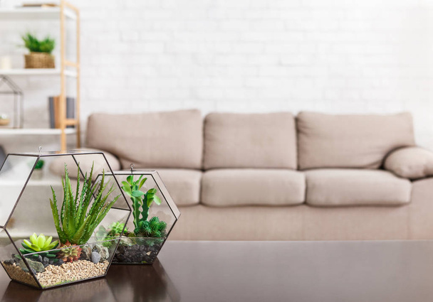 Scandinavian minimalistic living room concept, copy space - 写真・画像