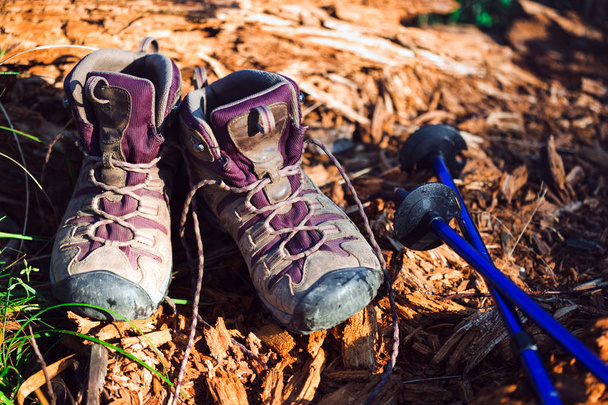 boots and Trekking poles - Φωτογραφία, εικόνα