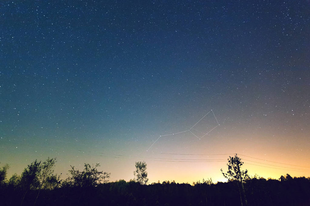 зоряне небо над лісом з підсвіченим сузір'ям великого занурювача, тонованого
 - Фото, зображення