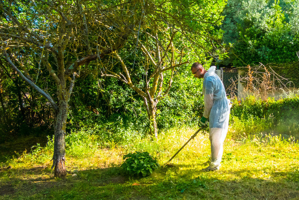 Gardener using brush cutter - Foto, imagen